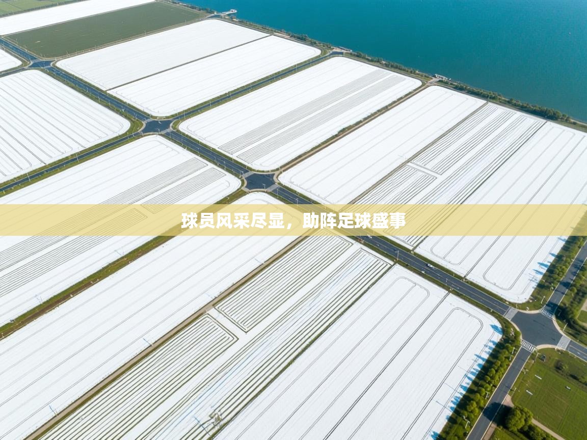球员风采尽显，助阵足球盛事