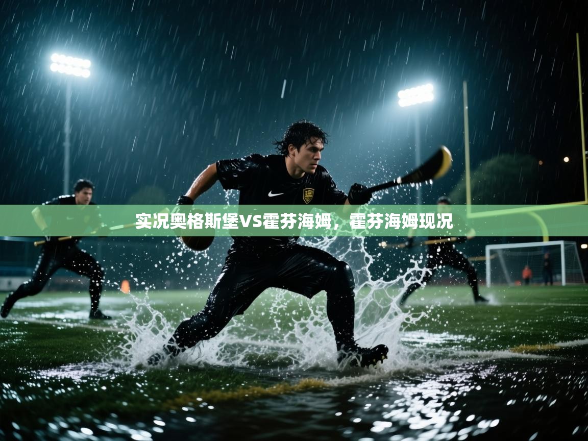 实况奥格斯堡VS霍芬海姆，霍芬海姆现况